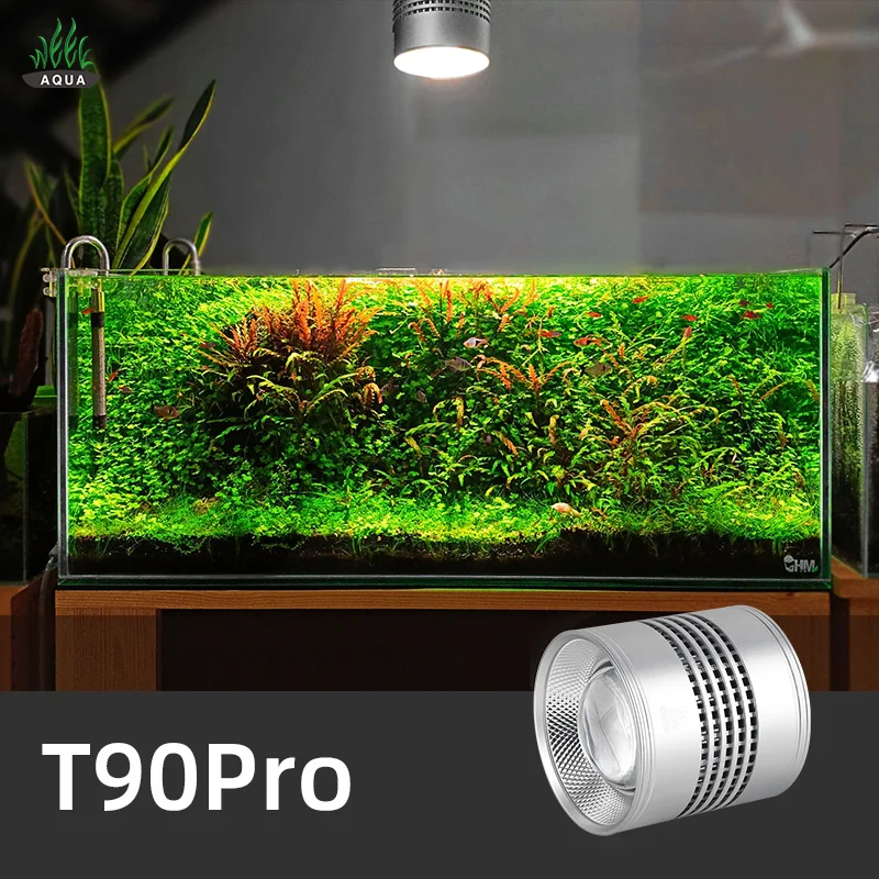 Aquarium Plant Not Growing - 주간 아쿠아 T 시리즈 T90 Pro