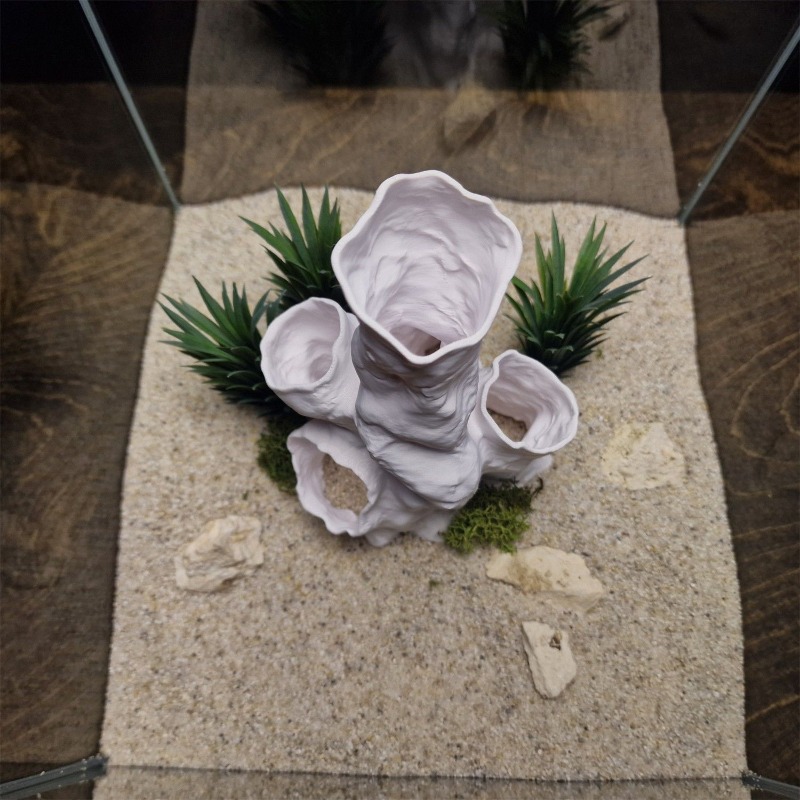 Aquarium Plants For Sale - 핫세일 3D 프린팅 산호 터널 은신처