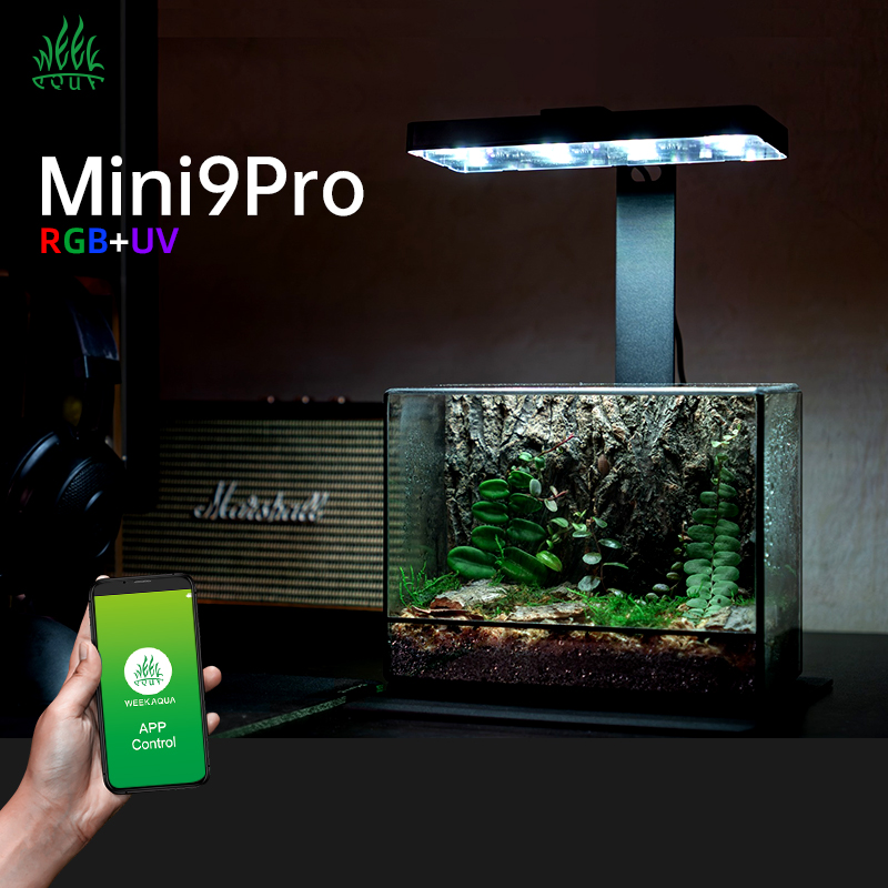 Aquarium Plants For Sale - 핫세일 미니9프로 나노 테라리움 라이트 USB