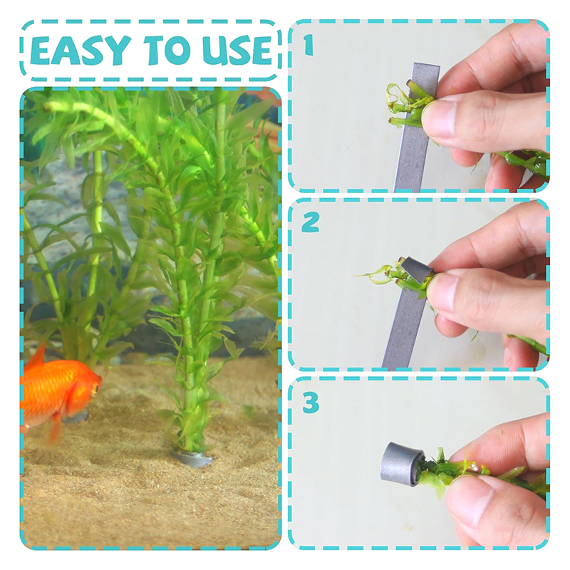 Aquarium Plants For Sale - * 새로운 판매 상품 10개입 유연하고