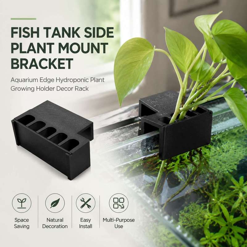 Aquarium Planted Soil - 어항 측면 식물 거치대 수경재배 홀더