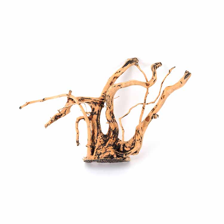 Aquarium Plants For Sale - 도매 특가 판매 천연 장식물 어항