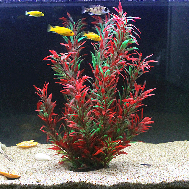Aquarium Planted Tank - 50CM 인조 어항 희귀 식물 수족관