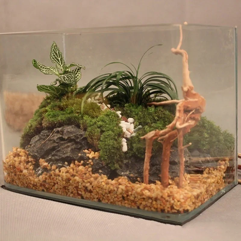 천연 나무 줄기 유목 수족관 어항, 파충류 실린더 뿌리 - Aquarium Planted Soil 리뷰 및 가격