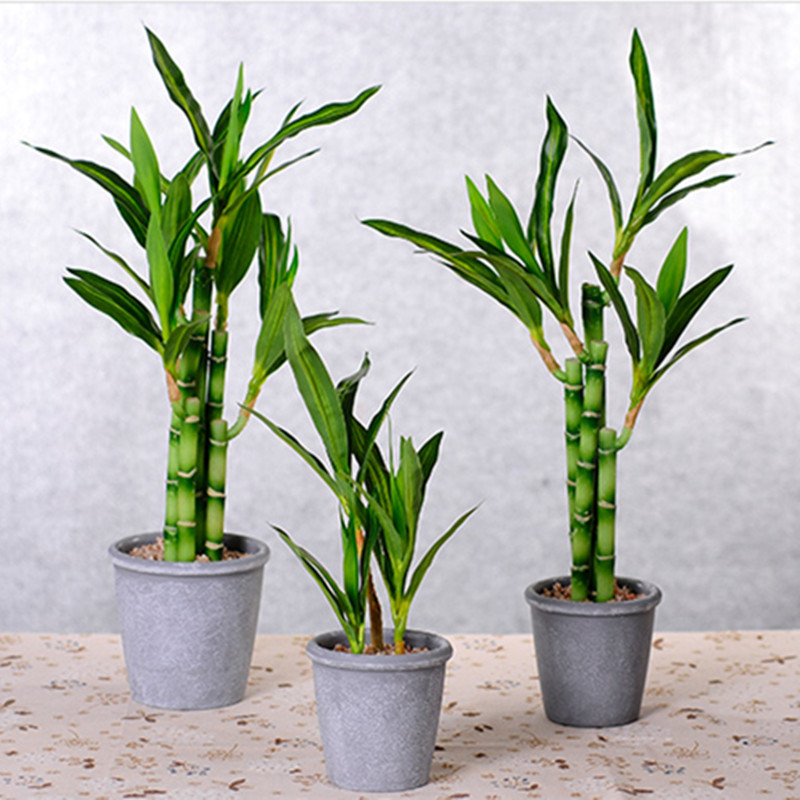 새로운 40cm rFtificial 행운의 대나무 즙이 - Aquarium Plant In Pot 리뷰 및 가격