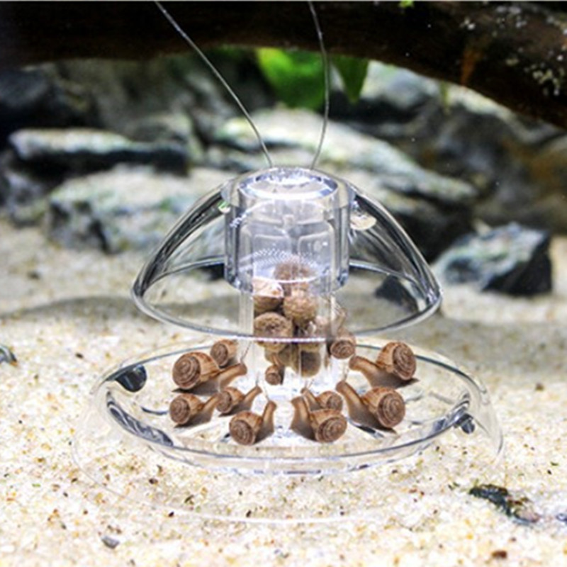 물고기 탱크 수족관 클리너, 달팽이 트랩 캐처, 식물  - Planted Aquarium Tools 리뷰 및 가격