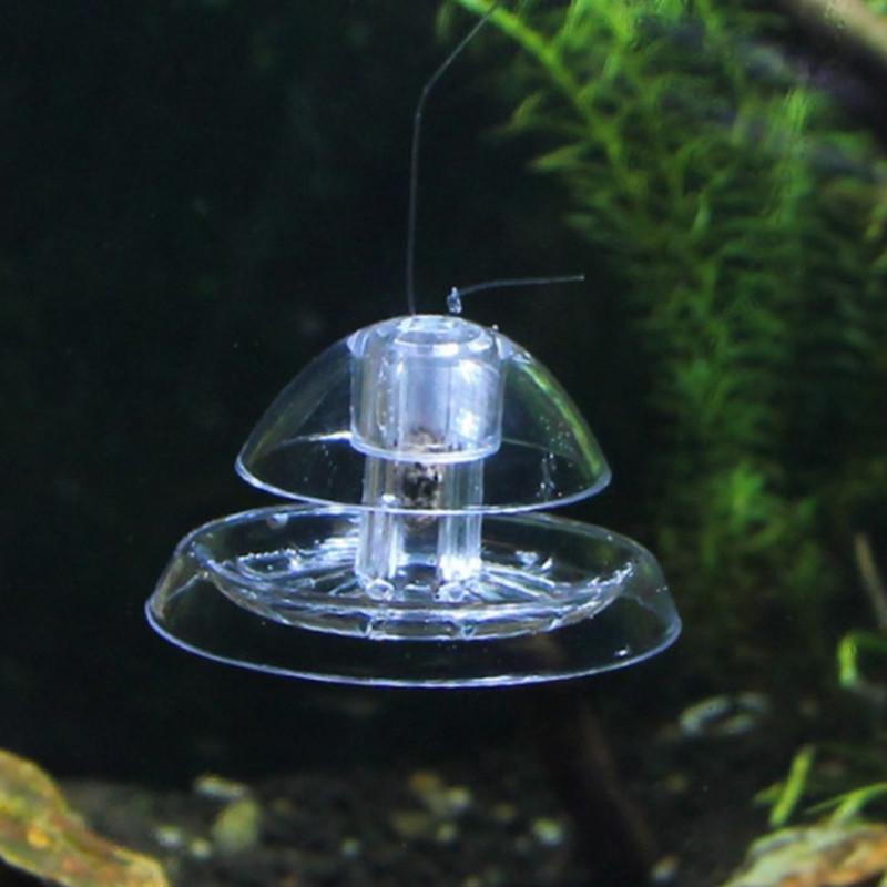 물고기 탱크 수족관 클리너, 달팽이 트랩 캐처, 식물  - Planted Aquarium Tools 리뷰 및 가격