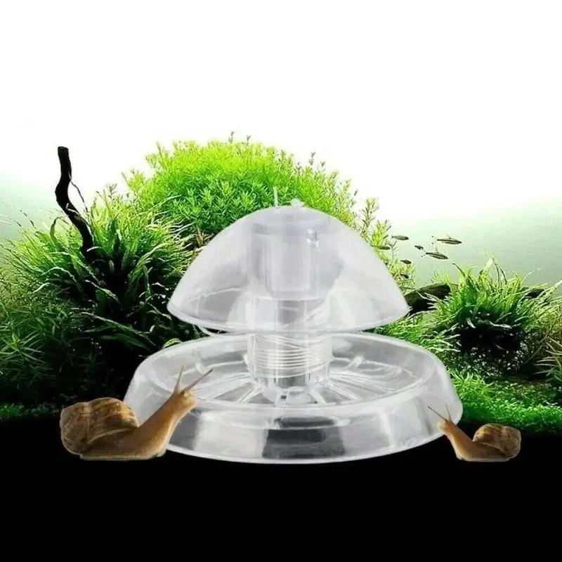 2026년형 새로운 6/8CM 투명 플라스틱 달팽이 트 - Aquarium Planted Tank 리뷰 및 가격