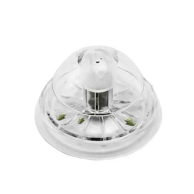 2026년형 새로운 6/8CM 투명 플라스틱 달팽이 트 - Aquarium Planted Tank 리뷰 및 가격