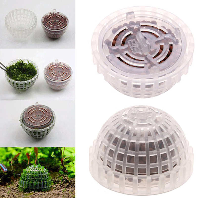 핫세일 수족관 용품 장식 아쿠아리움 모스볼 생물 식물  - Aquarium Plants For Sale 리뷰 및 가격