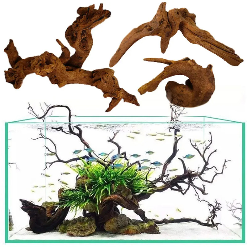 인기 급상승 중인 새로운 어항 장식, 수족관 조경용 천 - Aquarium Planted Soil 리뷰 및 가격