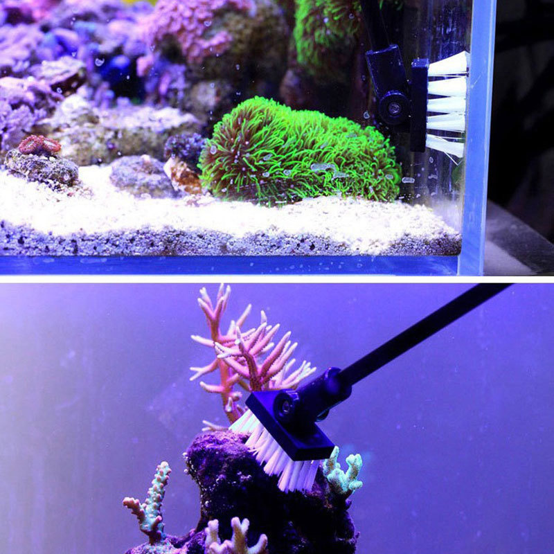 낚시 청소 브러시 ​​식물 탱크 신선한 바다 물 청소  - Planted Aquarium Tools 리뷰 및 가격