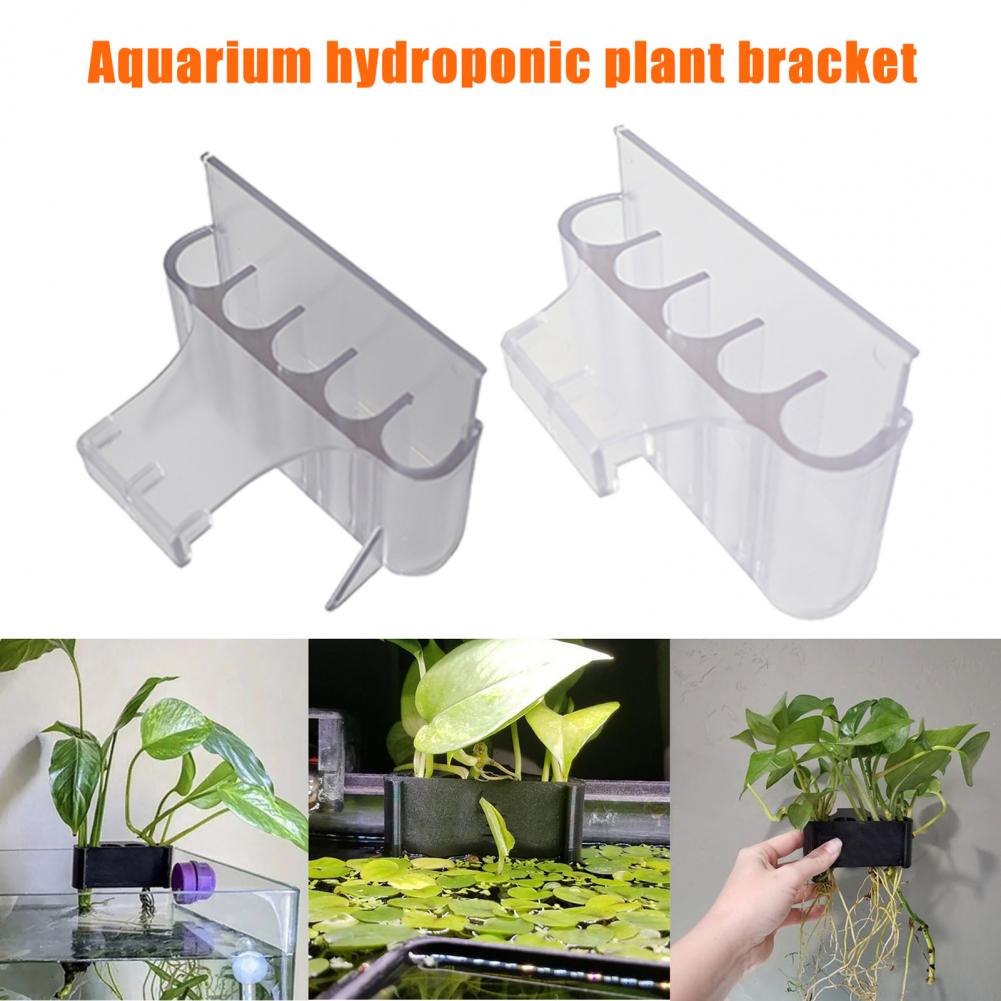 4.5/6.5cm 수족관 식물 홀더 물고기 탱크 식물  - Aquarium Plant In Pot 리뷰 및 가격
