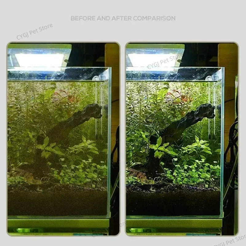 수조 청소 도구 평면 모래 조류 제거 이중 용도 유리  - Planted Aquarium Tools 리뷰 및 가격