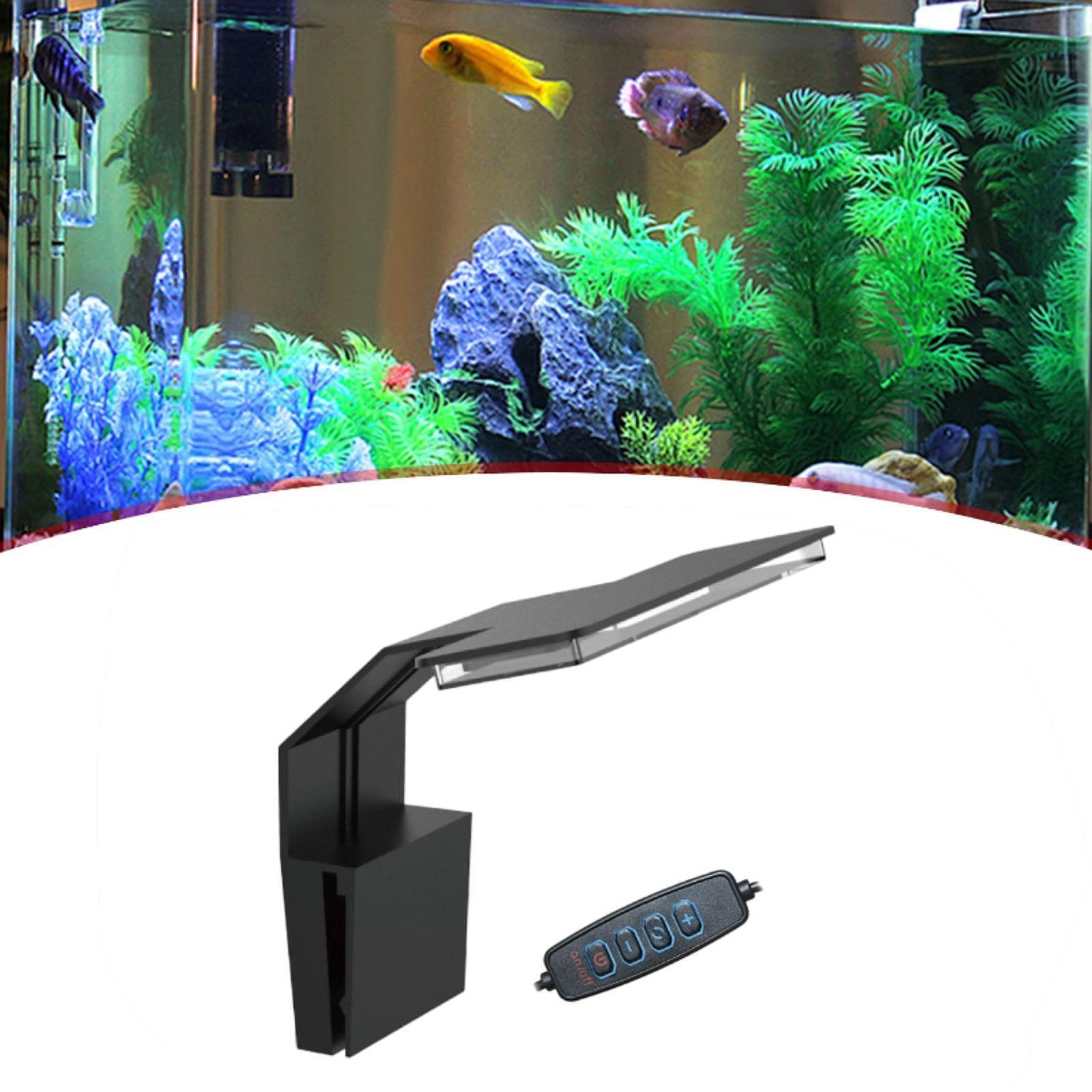 수족관 LED 조명 풀 스펙트럼 USB 전원 어항 식물 - Aquarium Plant Easy To Grow 리뷰 및 가격
