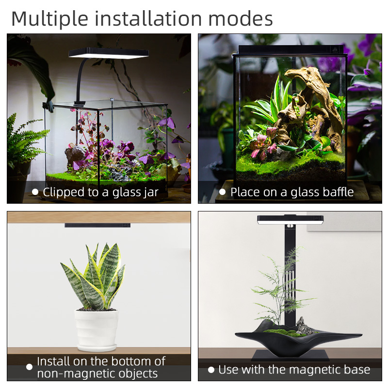 핫세일 미니9프로 나노 테라리움 라이트 USB 실내 식 - Aquarium Plants For Sale 리뷰 및 가격