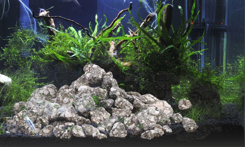 Maifan Stone Maifanite 즙이 많은 식 - Aquarium Planted Soil 리뷰 및 가격