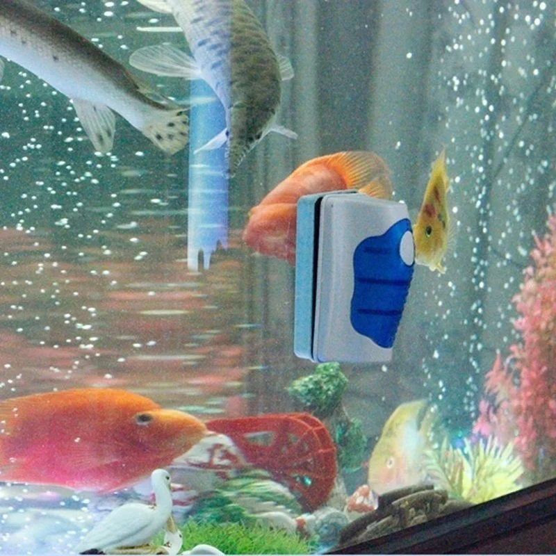 물고기 탱크 유리 스크레이퍼 클리너 플로팅 수족관 클리 - Planted Aquarium Tools 리뷰 및 가격