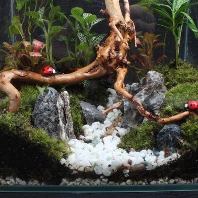 자연 나무 줄기 유목 수족관 어항 파충류 원통형 뿌리  - Aquarium Planted Soil 리뷰 및 가격