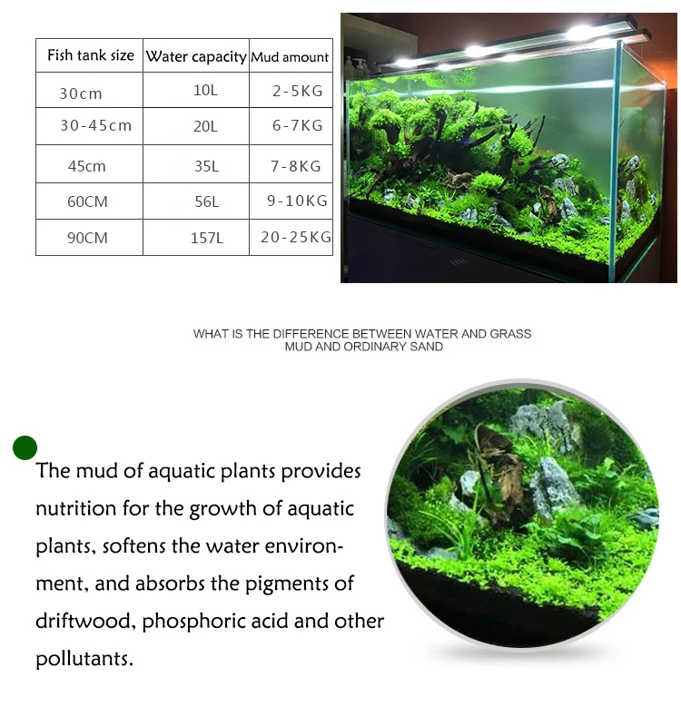 어항 물 잔디 진흙 식물 씨앗, 수족관 토양 바닥 모래 - Planted Aquarium Fertilizer 리뷰 및 가격