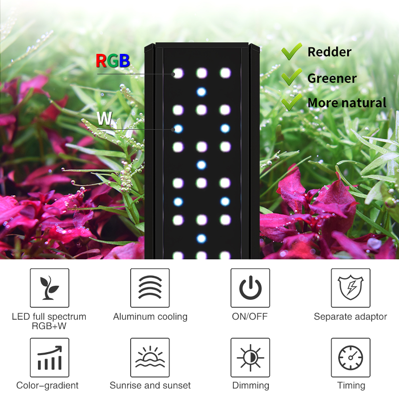 ZXY 핫 세일 WEEKAQUA V400 WRGB 고휘 - Aquarium Plants For Sale 리뷰 및 가격