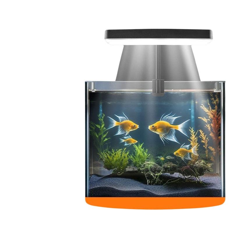 USB 수족관 클립 조명, 가정 사무실 데스크탑 어항  - Aquarium Planted Tank 리뷰 및 가격