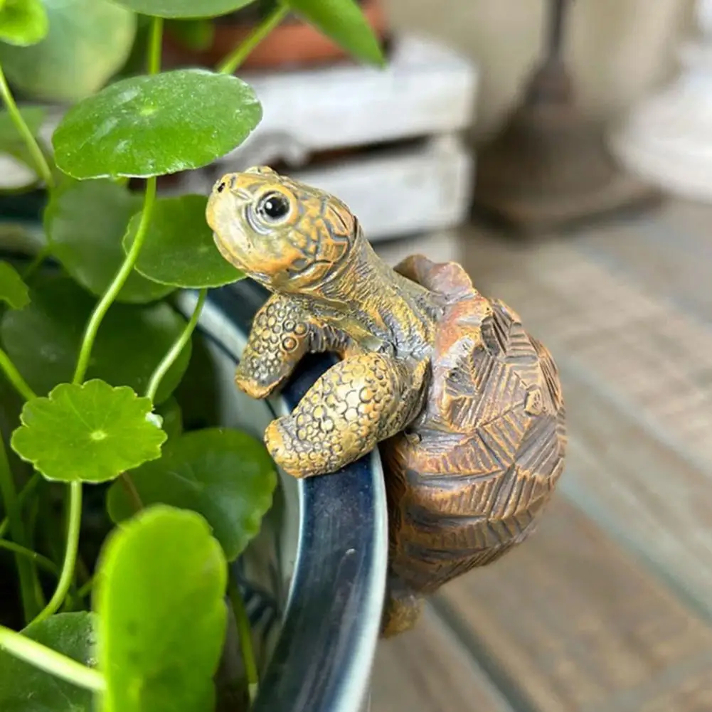 물고기 사육장, 어항, 석가마, 연못, 마당, 정원 장 - Aquarium Planted Tank 리뷰 및 가격