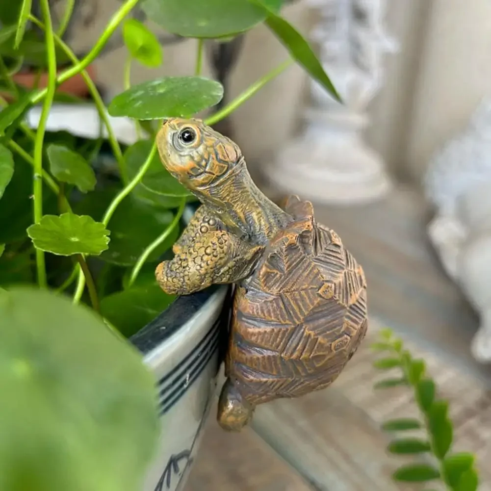물고기 사육장, 어항, 석가마, 연못, 마당, 정원 장 - Aquarium Planted Tank 리뷰 및 가격