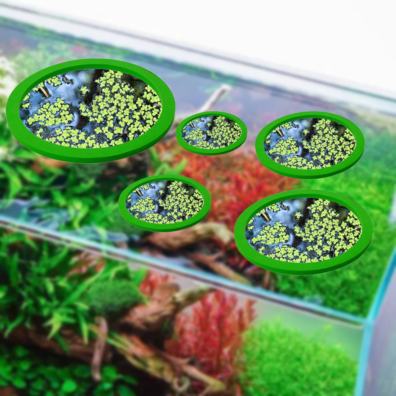 EVA 물고기 먹이 고리 수족관 플로팅 식물, 코랄 어 - Aquarium Planted Tank 리뷰 및 가격