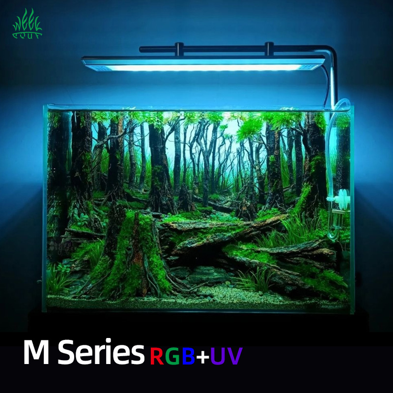위카쿠아 M300/M400/M450 D1 PRO 특가  - Aquarium Plants For Sale 리뷰 및 가격
