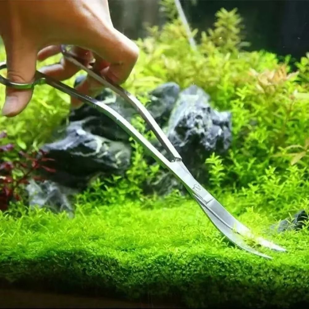 1개 스테인레스 스틸 수족관 가위 직선형 곡선형 25c - Planted Aquarium Tools 리뷰 및 가격