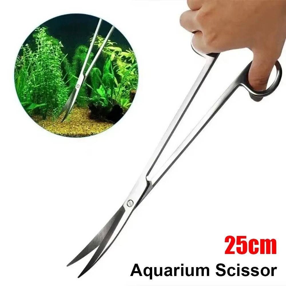 1개 스테인레스 스틸 수족관 가위 직선형 곡선형 25c - Planted Aquarium Tools 리뷰 및 가격