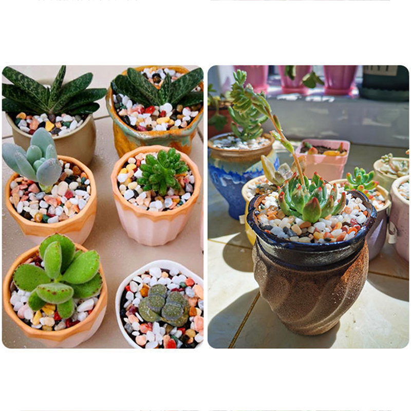 물고기 탱크 바닥 모래 DIY 액세서리 200~1000 - Aquarium Planted Soil 리뷰 및 가격