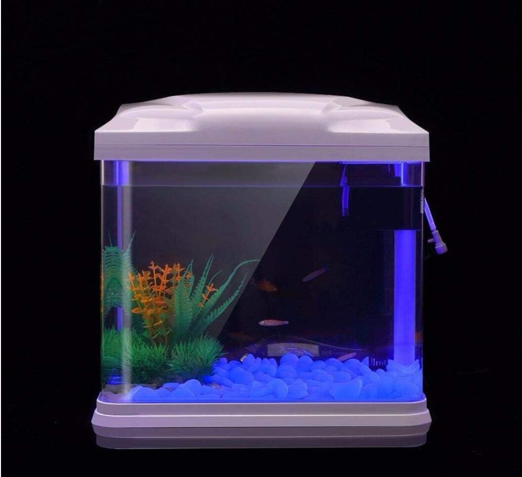물고기 탱크 바위 정원 물고기 탱크 수족관 식물 냄비  - Aquarium Planted Tank 리뷰 및 가격