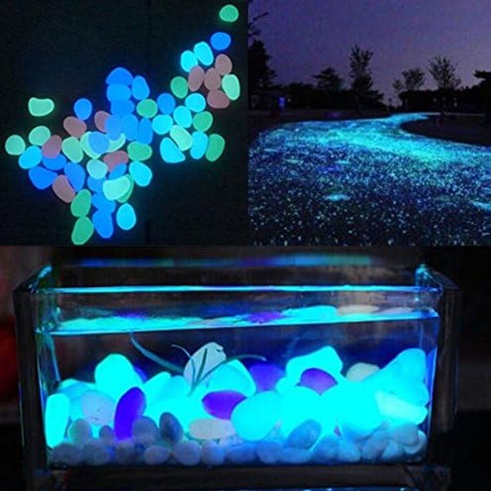 물고기 탱크 바위 정원 물고기 탱크 수족관 식물 냄비  - Aquarium Planted Tank 리뷰 및 가격