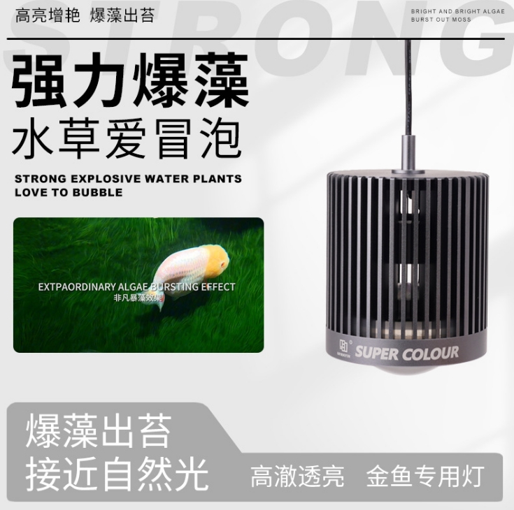 LED 슈퍼 컬러 3D 특가 판매 어항 산호초 해양 식 - Aquarium Plants For Sale 리뷰 및 가격