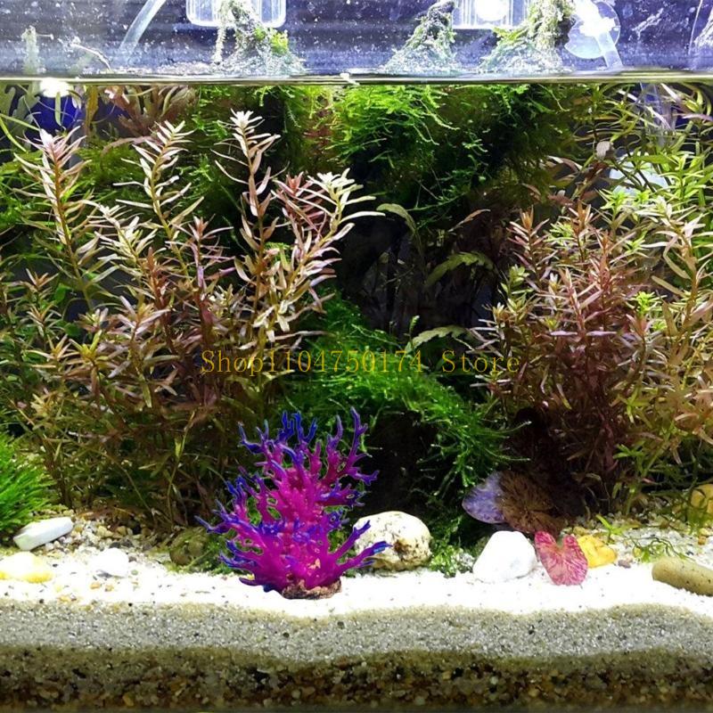 인공 나무 장식 식물 다채로운 나무 장식품 식물 조경  - Aquarium Plants For Sale 리뷰 및 가격