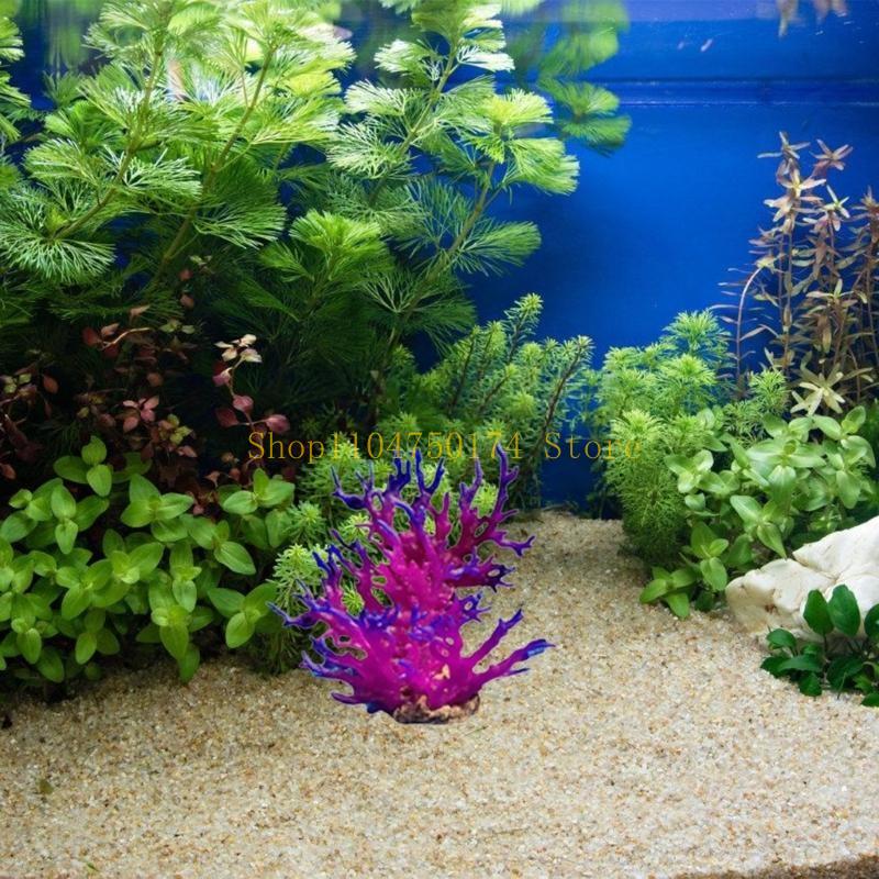 인공 나무 장식 식물 다채로운 나무 장식품 식물 조경  - Aquarium Plants For Sale 리뷰 및 가격