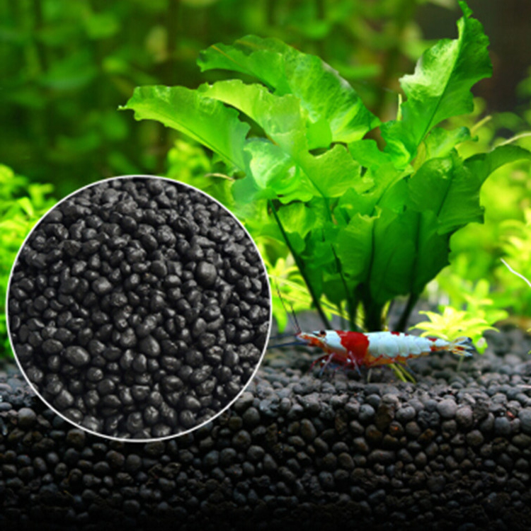수족관 식물 씨앗 토양 어항 기판 모래 토양 비료 진흙 - Aquarium Planted Tank 리뷰 및 가격