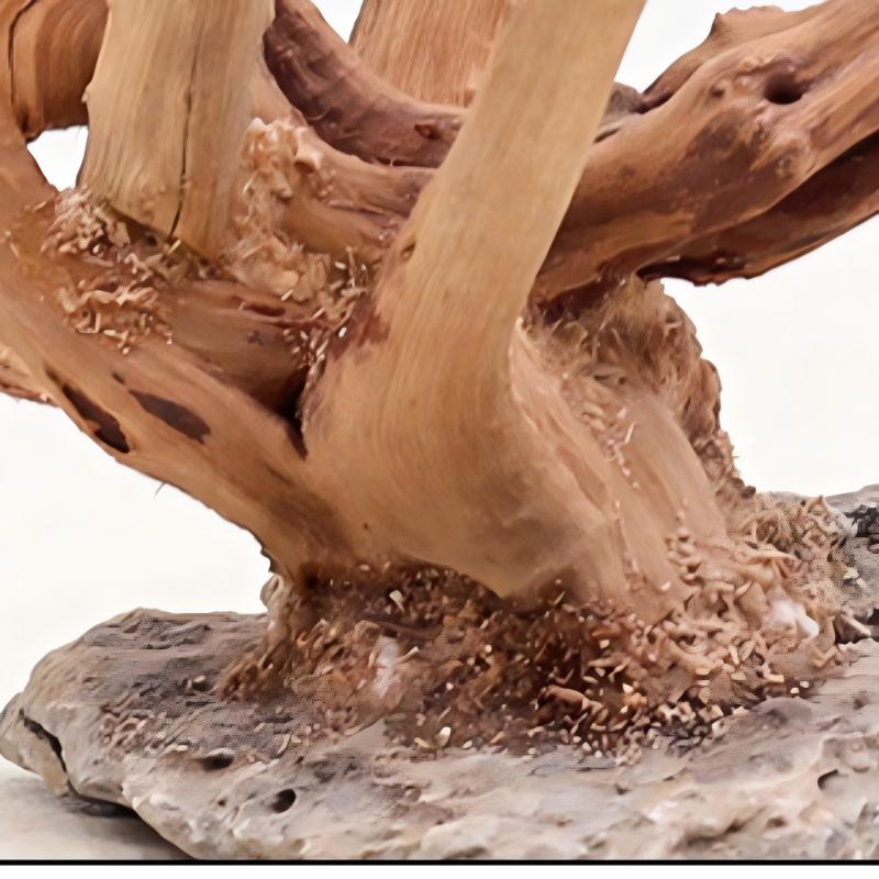 1PC 수족관 조경 나무 장식품 홈 물고기 탱크 소품에 - Aquarium Planted Soil 리뷰 및 가격