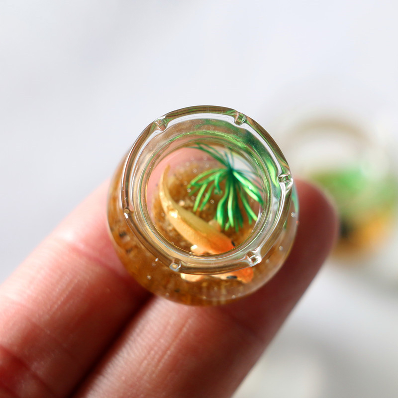1:12 미니 인형 집 시뮬레이션 유리 어항, 수족관  - Planted Aquarium Photos 리뷰 및 가격