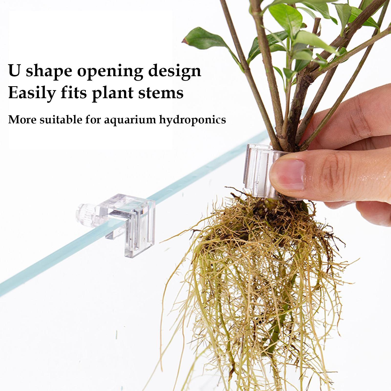 어항 식물 홀더 6개 투명 수경 재배 컵 걸이형 식물  - Aquarium Planted Soil 리뷰 및 가격