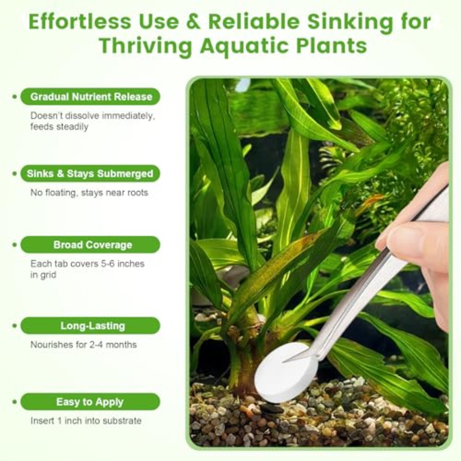 루트 탭, 수족관 식물 비료, 수족관 물 관리 탭, 물 - Planted Aquarium Fertilizer 리뷰 및 가격