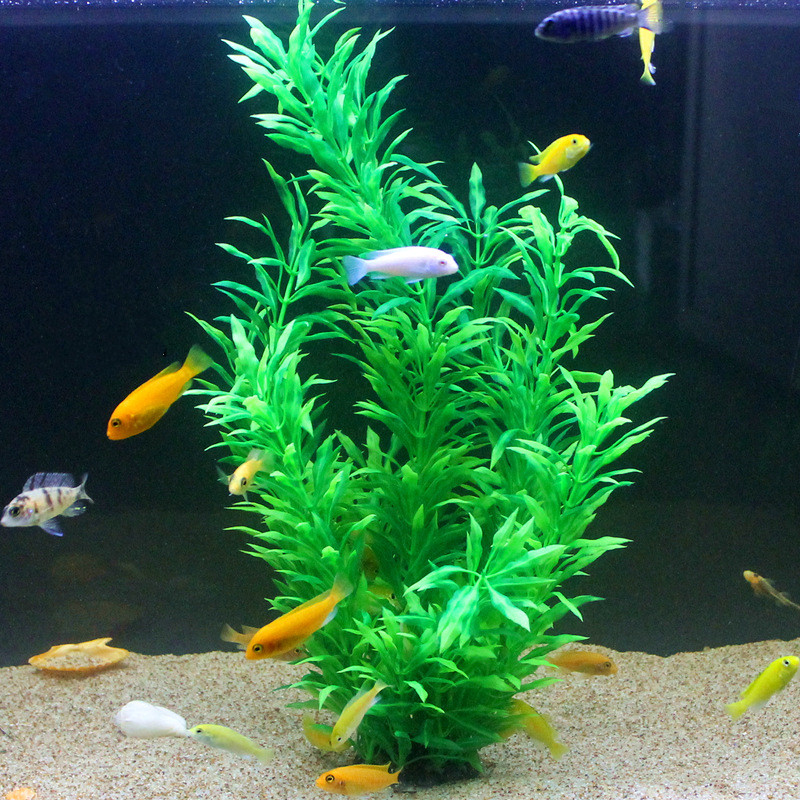 50CM 인조 어항 희귀 식물 수족관 가짜 대나무 잎  - Aquarium Planted Tank 리뷰 및 가격