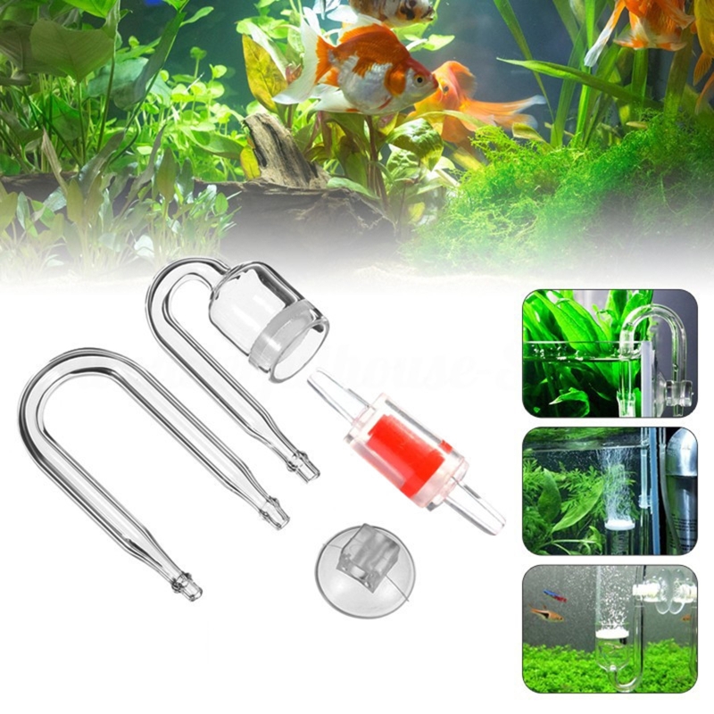 수족관 유리 탱크용 DIY CO2 디퓨저, 버블 반응기 - Aquarium Plant In Pot 리뷰 및 가격