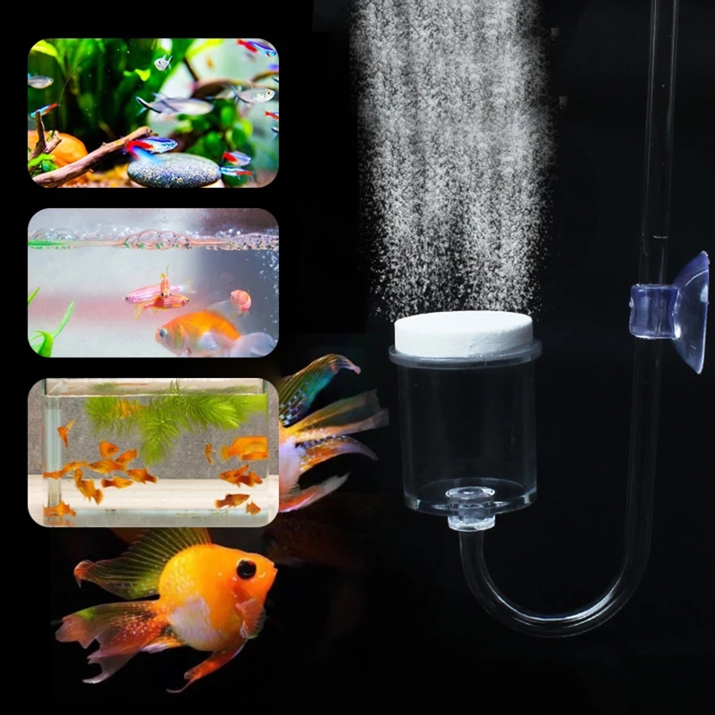 수족관 유리 탱크용 DIY CO2 디퓨저, 버블 반응기 - Aquarium Plant In Pot 리뷰 및 가격