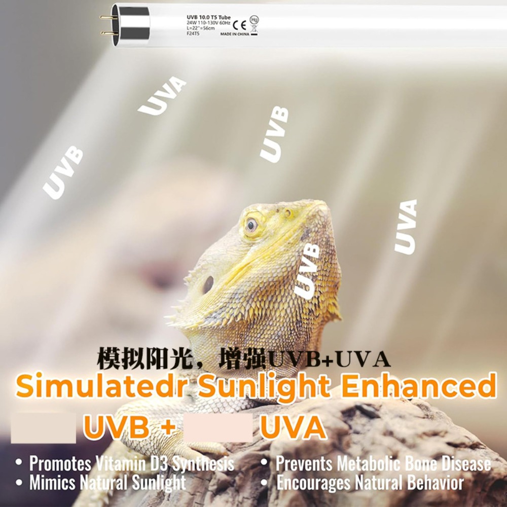 수초 및 파충류 테라리움 LED 조명 24W UVA U - Led Planted Tank Light 리뷰 및 가격